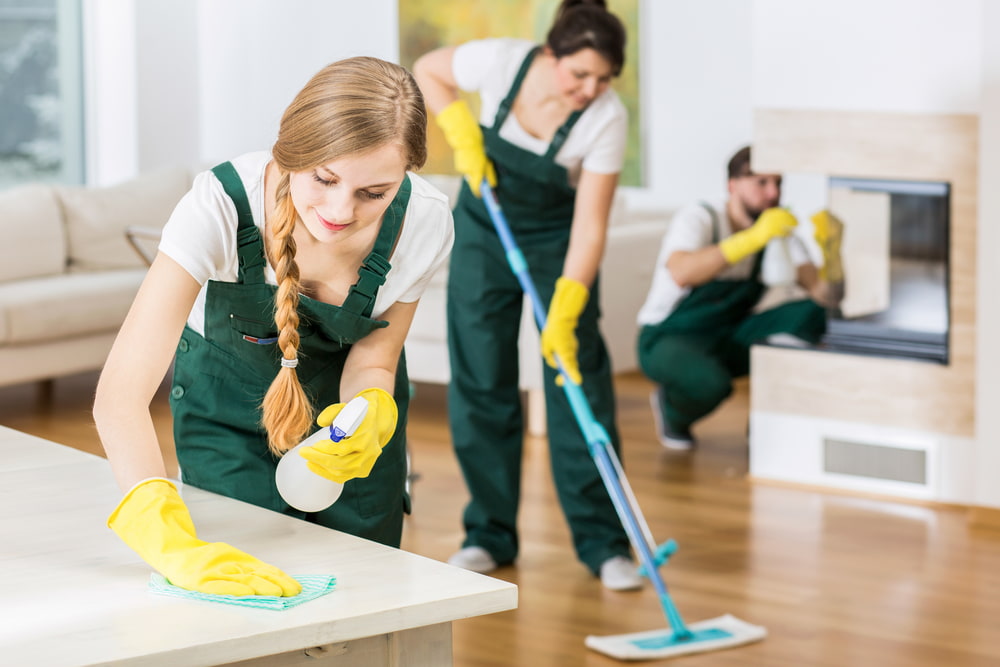 Why do you need professional cleaning services?