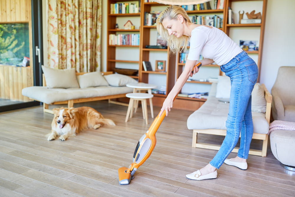 What is the best living room cleaning checklist