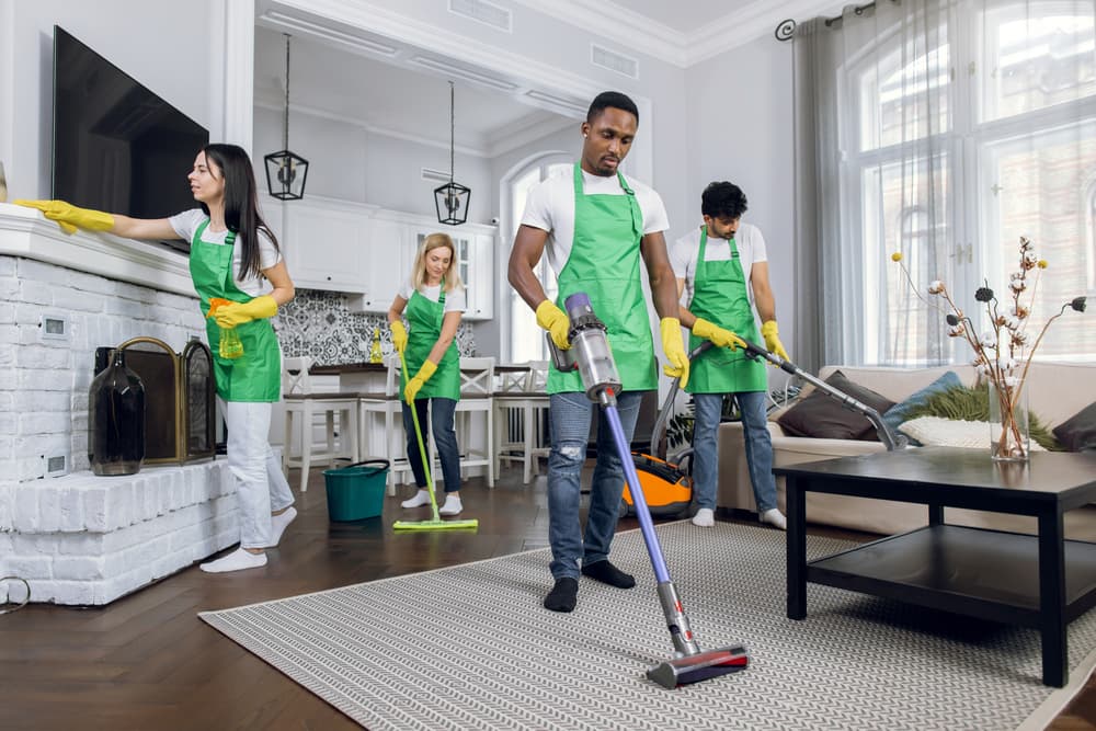 What does a professional apartment cleaning service include