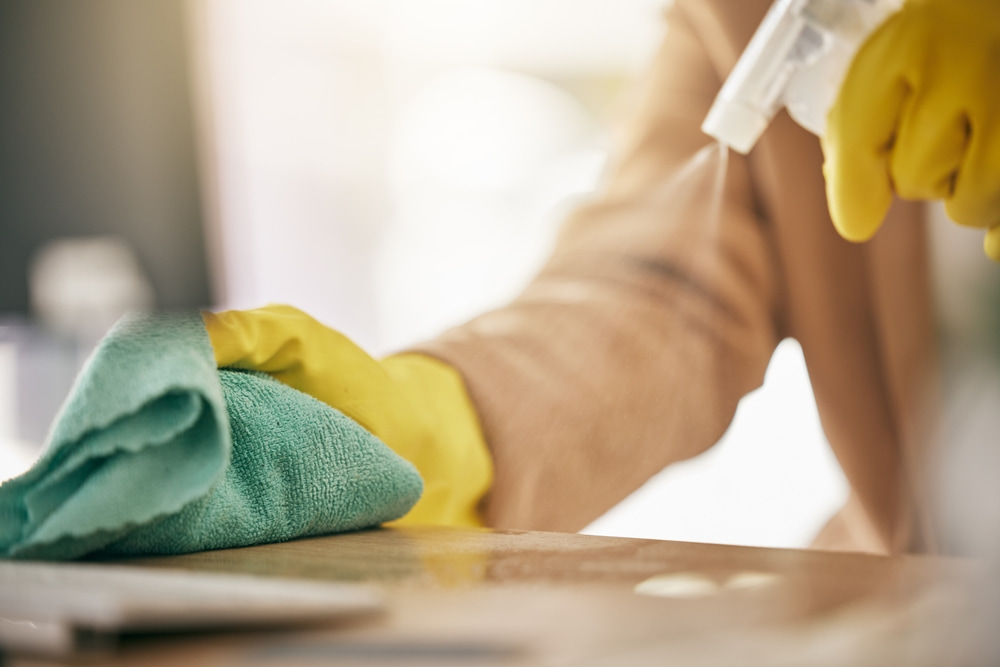 What professional house cleaners usually don't include?
