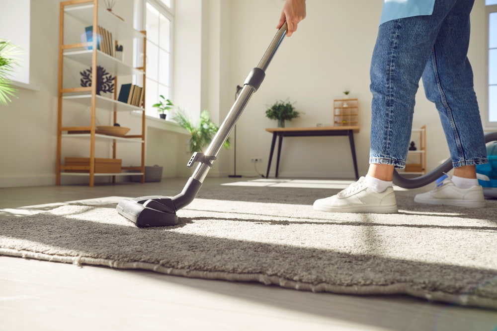 What does a regular house cleaning consist of?