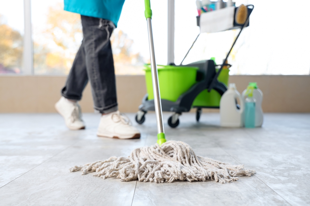 Who provides meticulous maid services in Burlingame, CA?